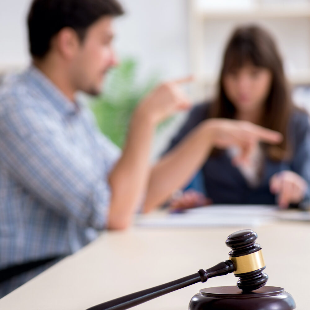 Female lawyer meeting with his male client in the office